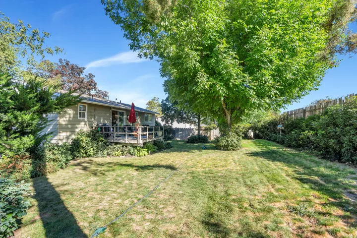 Expansive backyard featuring a mature tree, sloped lawn, and a wooden deck with railing
