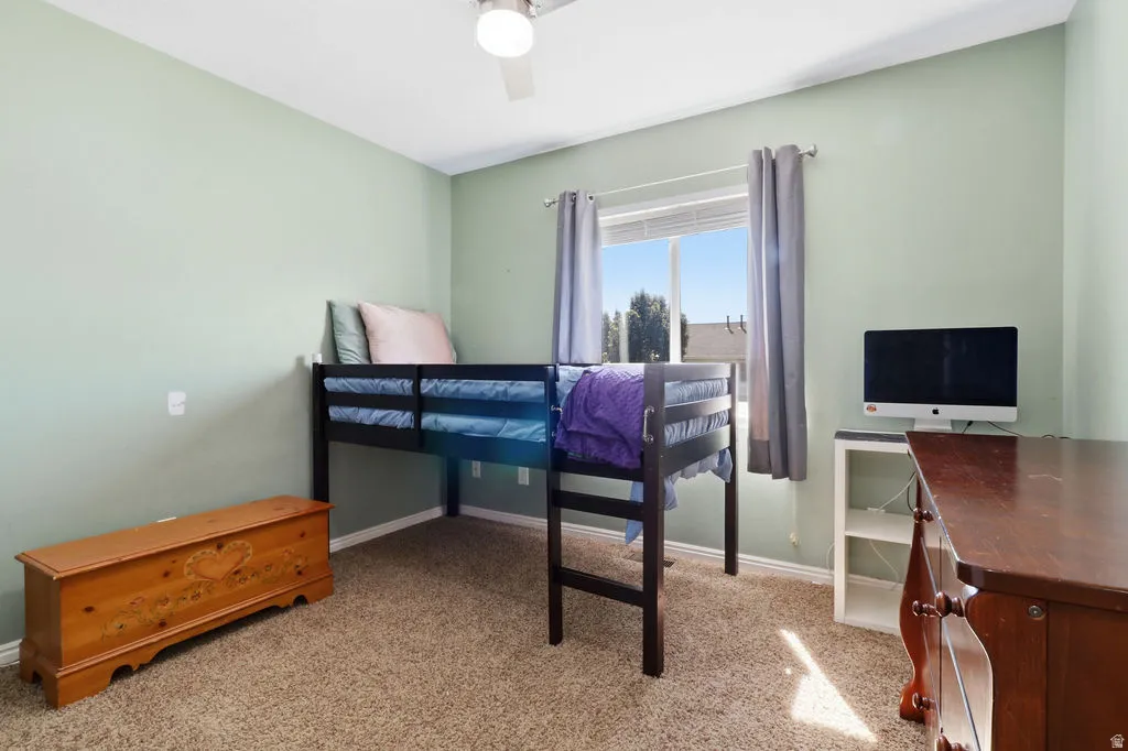 Carpeted room with a ceiling fan, a window, and light-colored walls