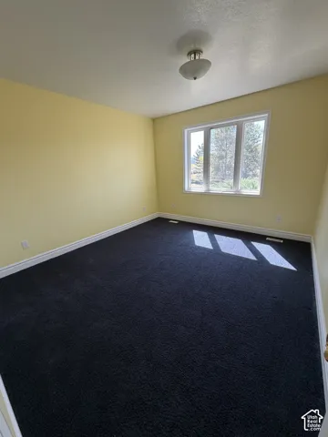 Carpeted room featuring a ceiling-mounted light fixture, white window trim, and baseboard molding