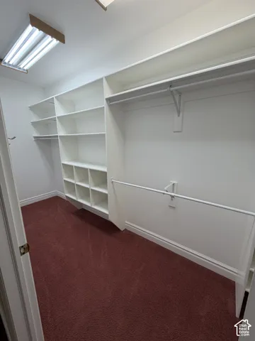 Built-in shelving, multiple hanging rods, and an overhead fluorescent light fixture