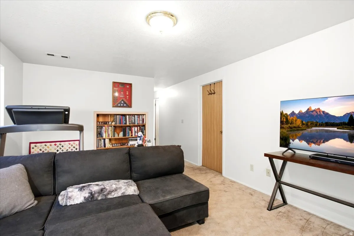 Built-in wood-finish shelving, light-colored carpeting, and a flush-mount ceiling light fixture