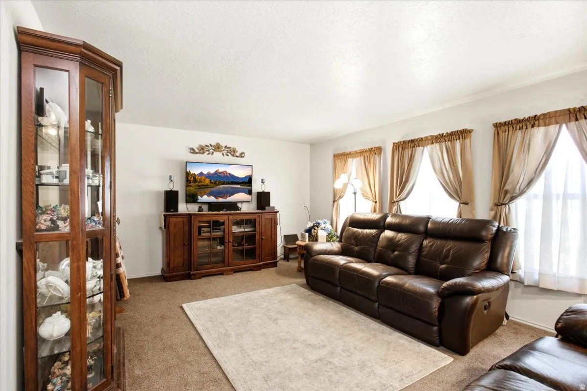 Carpeted flooring, white walls, and multiple windows with trim