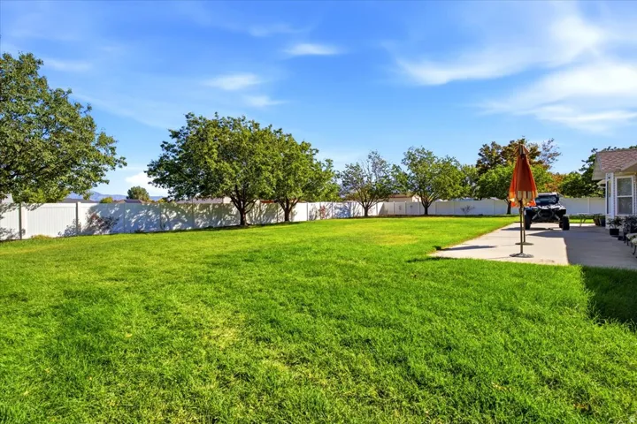 Expansive backyard featuring a large lawn, mature trees, a white perimeter fence, and a concrete patio