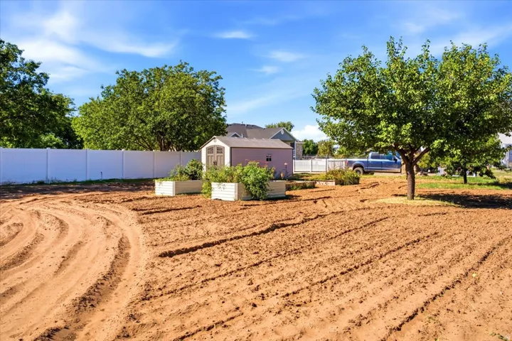 Expansive cleared yard with a mature tree, privacy fencing, and two raised garden beds