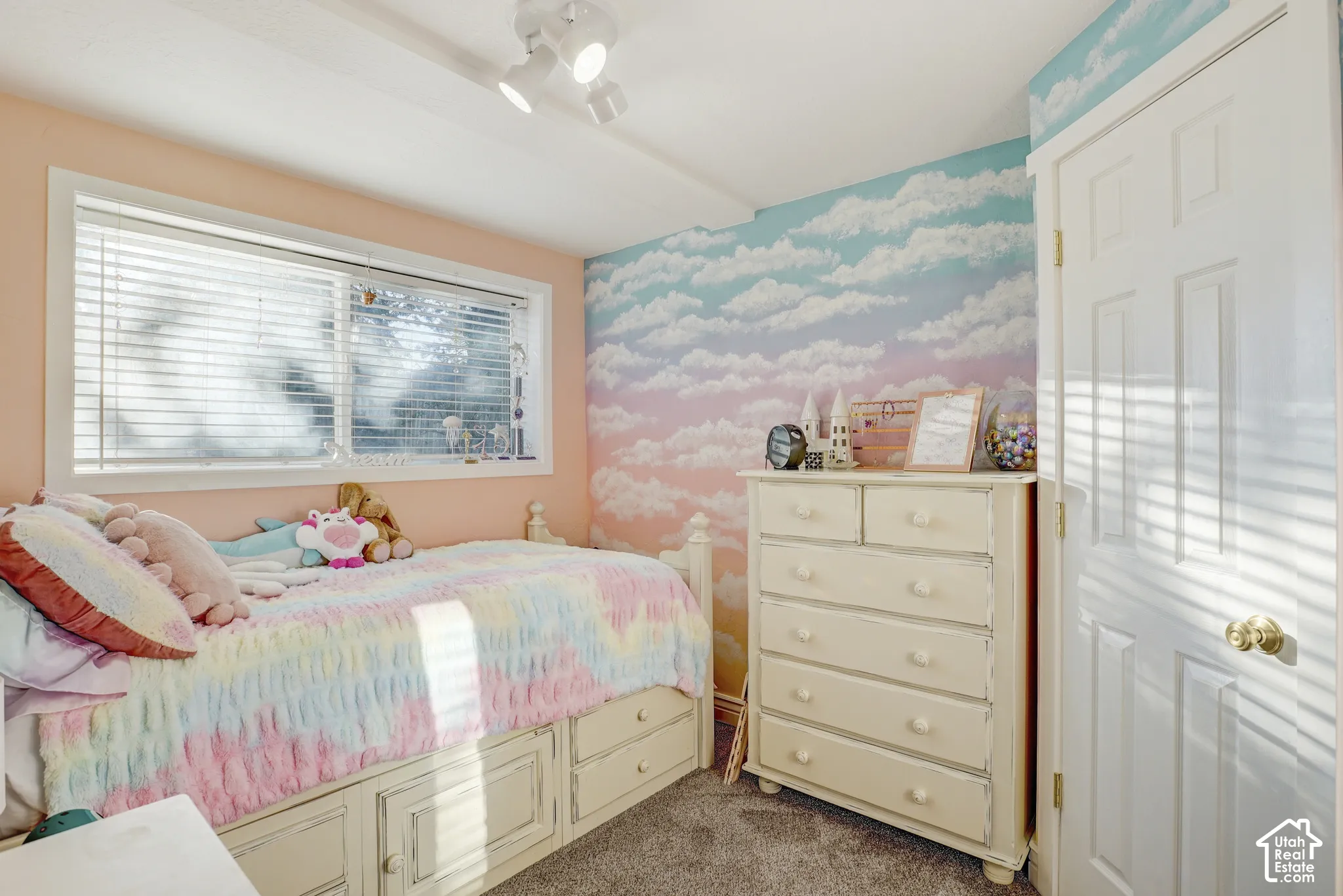 Window with horizontal blinds, cloud-patterned accent wall, painted interior wall, track lighting fixture, and paneled interior door