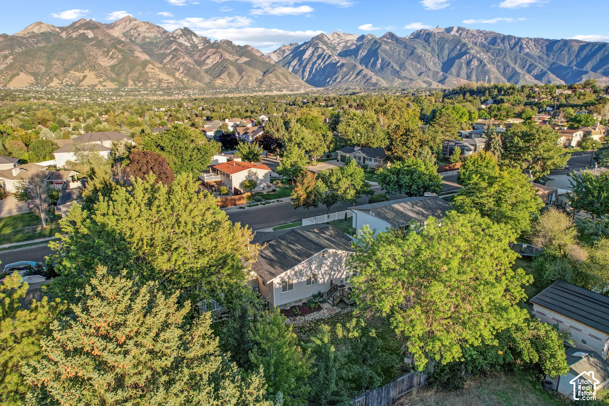Mountain backdrop, mature trees, residential neighborhood