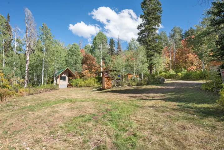 Wood-sided cabin featuring a covered porch and green roof
