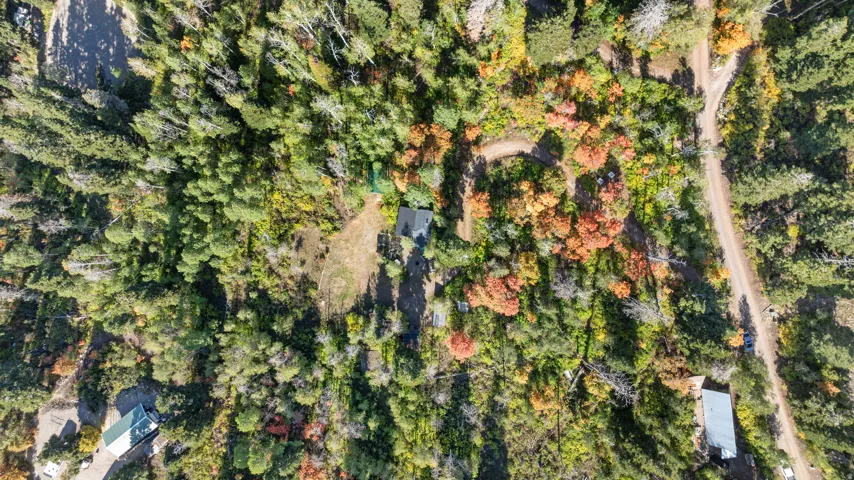 Wooded property with mature trees and a single-story residence