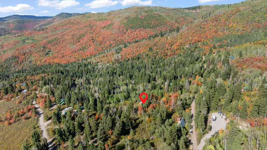 Mountainous terrain with dense evergreen and deciduous trees