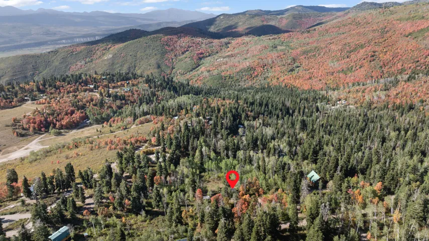 Mountainous terrain with mature evergreen and deciduous trees showcasing seasonal foliage