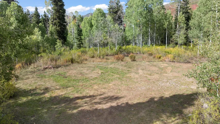 Expansive grassy parcel surrounded by mature trees