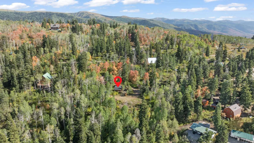 Mountainous terrain with extensive tree coverage and scattered residential structures