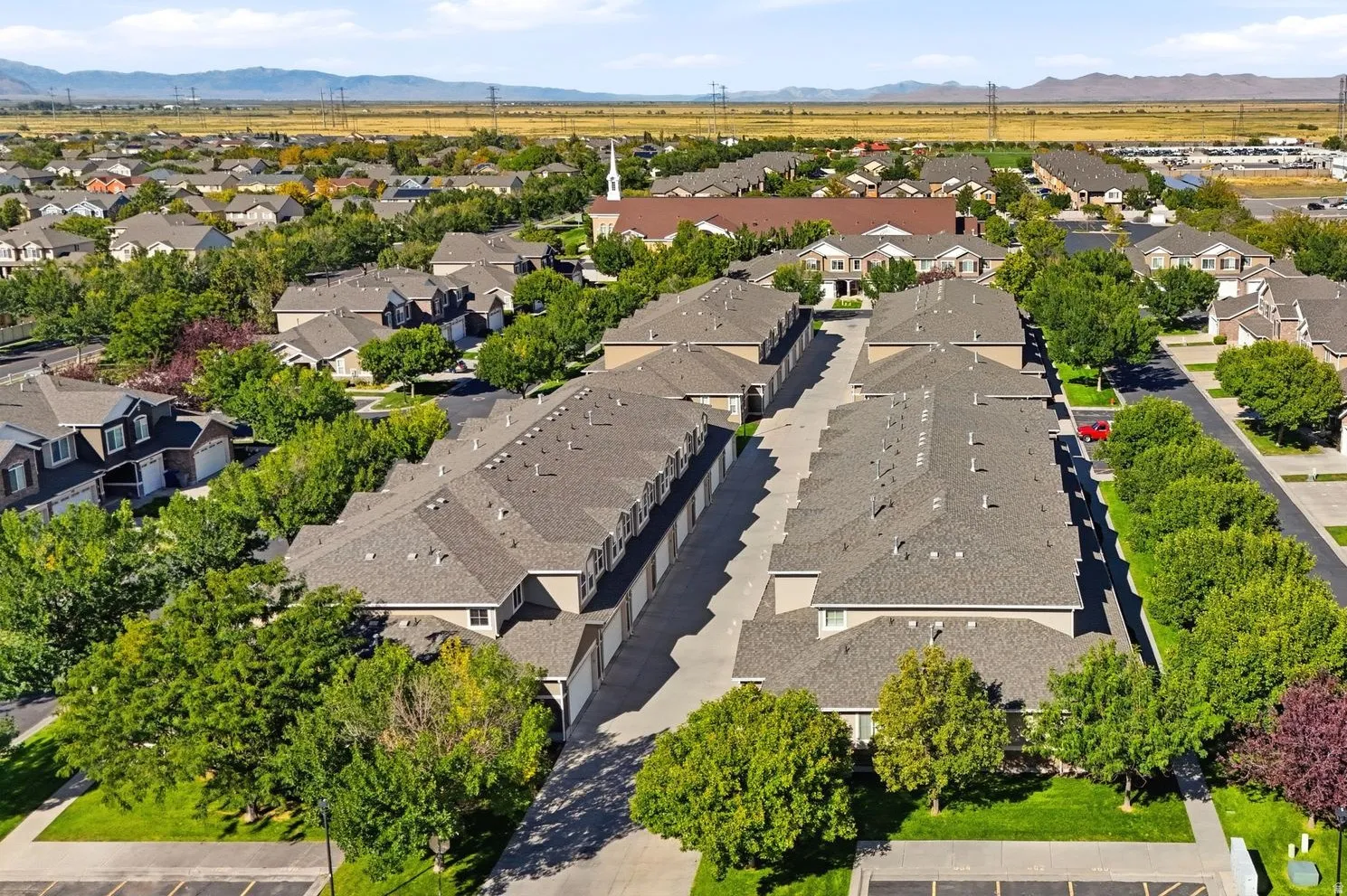 Townhome community with private garages, mature trees, and landscaped common areas