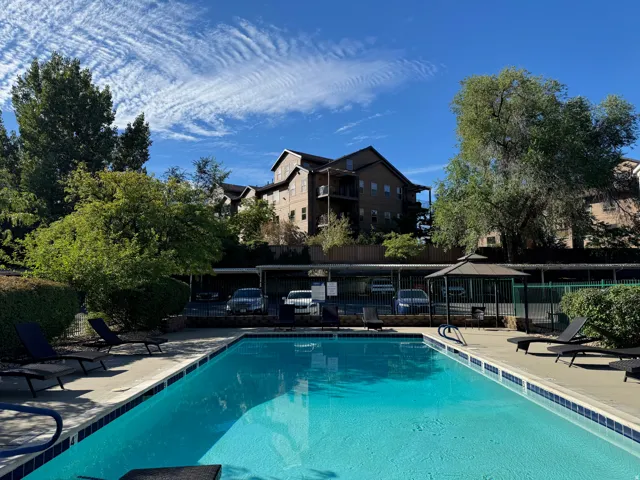 Outdoor swimming pool with integrated steps, surrounded by a concrete deck