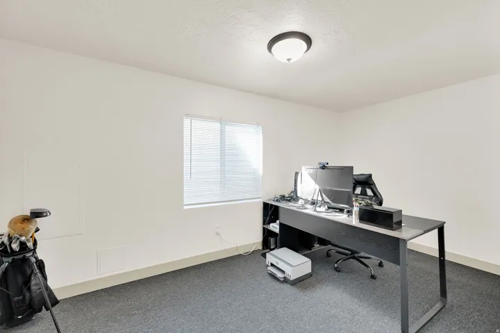 White walls, carpet flooring, and a ceiling-mounted light fixture