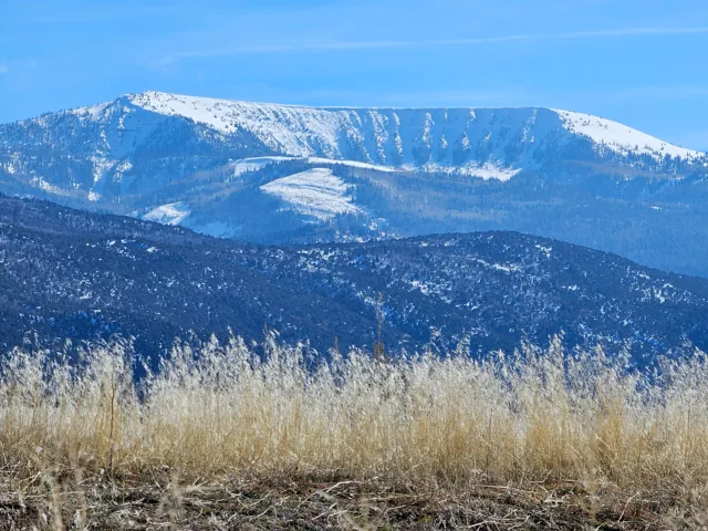 Snow-covered mountain range featuring forested slopes and a clear blue sky