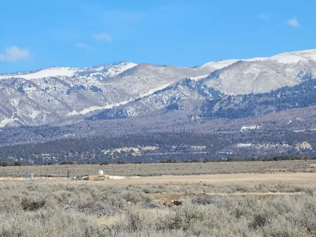 Expansive arid landscape featuring natural vegetation and distant snow-capped mountains