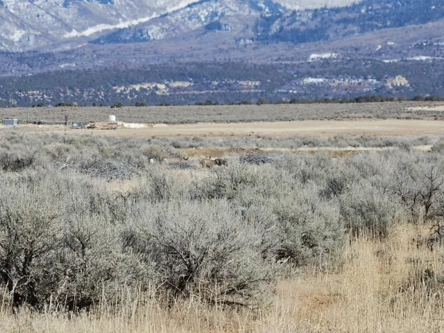 Expansive landscape featuring distant snow-capped mountains and a prominent natural setting