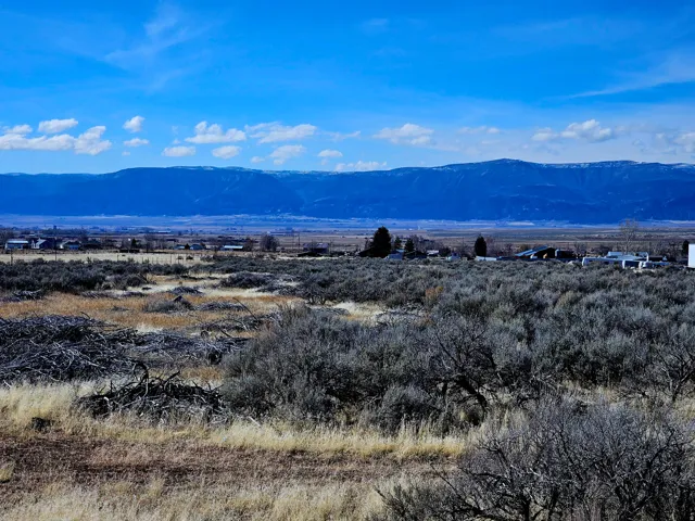 Expansive open land featuring diverse vegetation and distant mountain ranges