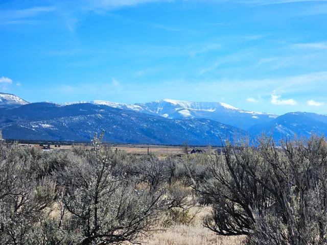 Expansive natural landscape featuring brushland and distant snow-capped mountains under a clear sky