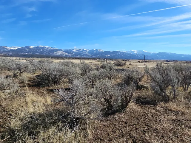 Expansive natural landscape featuring brush and grasses with a distant mountain range