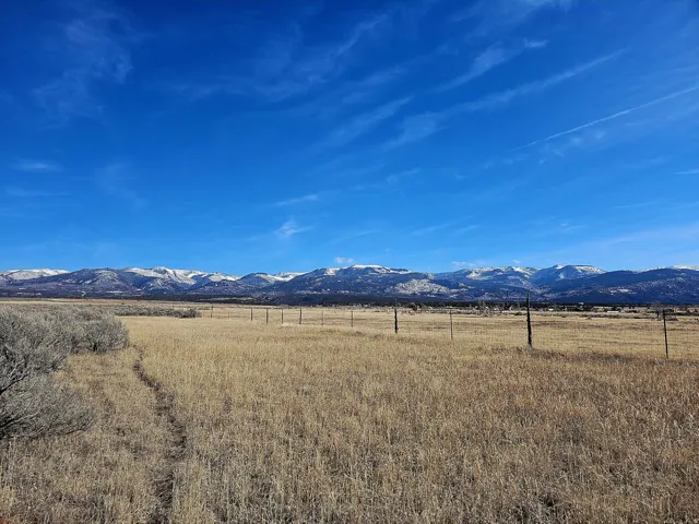 Expansive undeveloped land featuring mature natural vegetation, partial fencing, and distant snow-capped mountains
