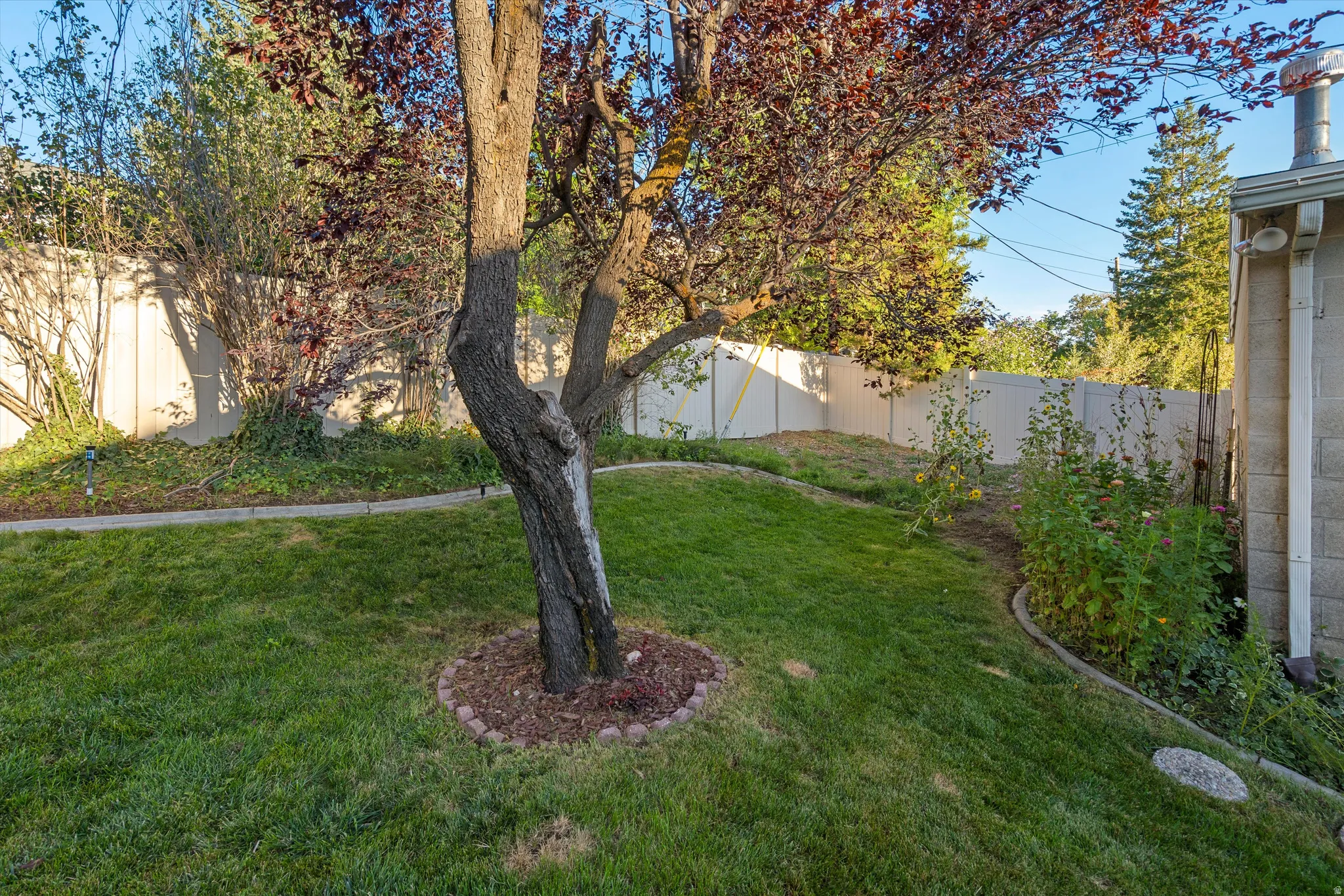 Expansive backyard featuring mature trees, a manicured lawn, and perimeter fencing