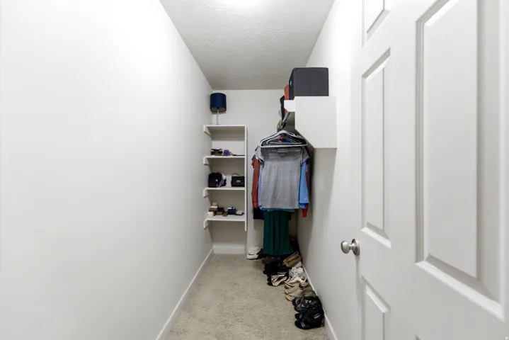 Walk-in closet featuring carpet flooring, built-in shelving, a hanging rod, and a paneled door