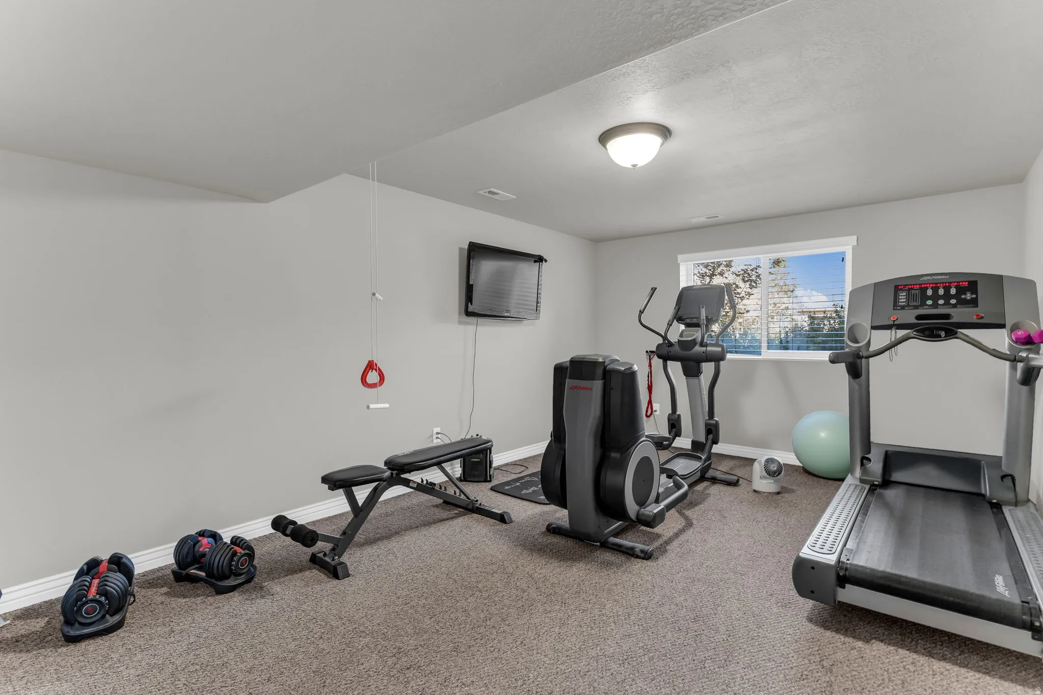Neutral wall color, carpeted flooring, overhead ceiling light fixture, and a window with natural light