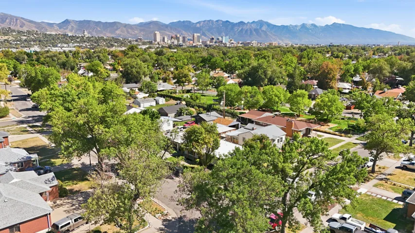 Established neighborhood with mature trees, a distant cityscape, and mountain backdrop