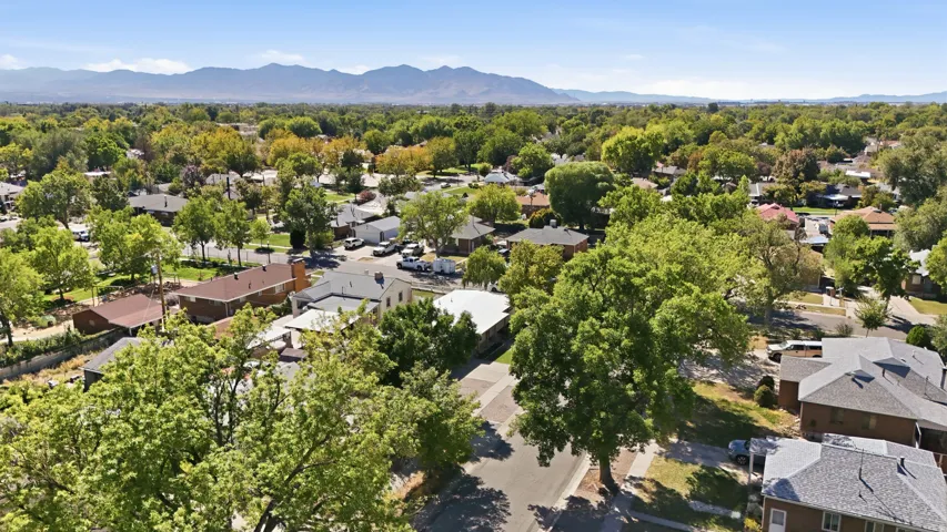 Mature trees, residential area, distant mountains, clear skies
