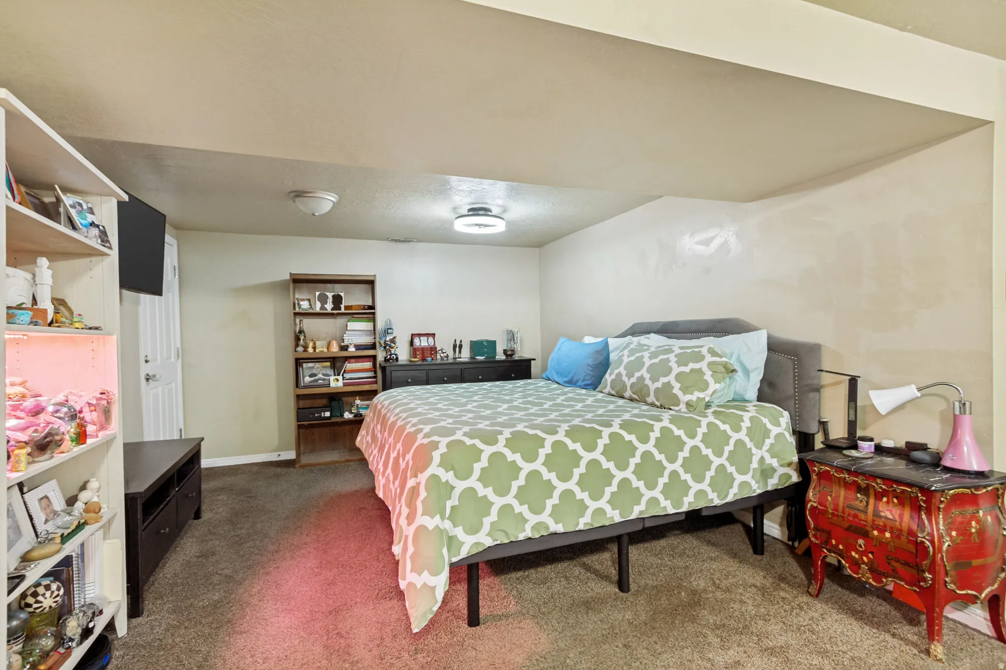 Carpeted flooring, built-in shelving, ceiling-mounted light fixtures, and a paneled door