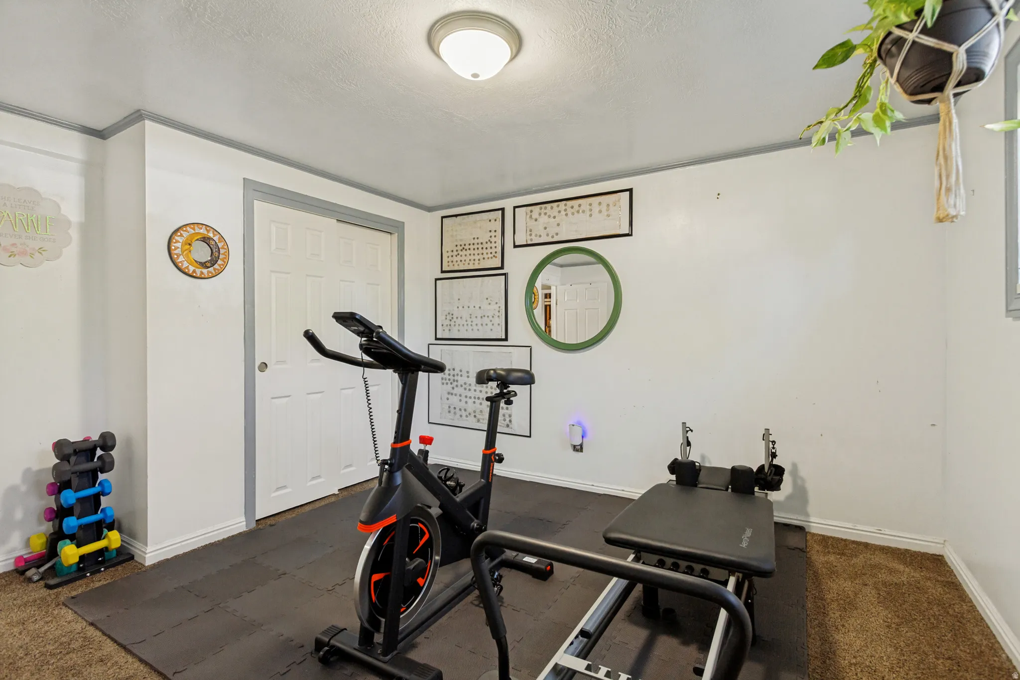 Room with a drop ceiling, white walls, and carpet flooring