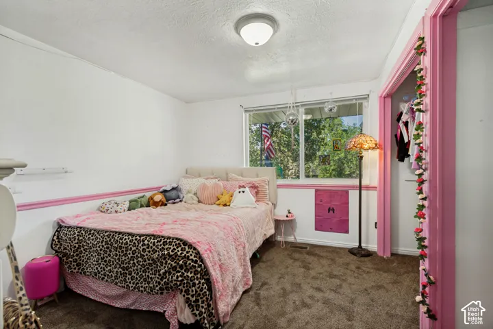 White walls with pink trim, carpeted flooring, and a large window