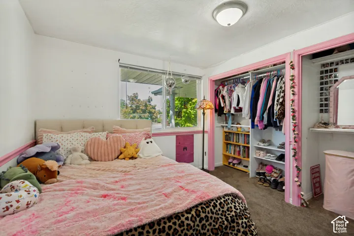 Window with outdoor scenery, recessed closet shelving, built-in closet organization, neutral wall color, ceiling-mounted light fixture