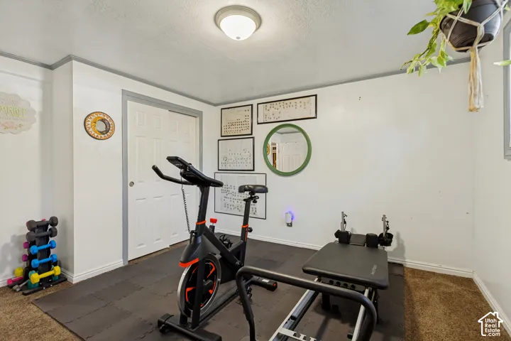 Room with a drop ceiling, white walls, and carpet flooring
