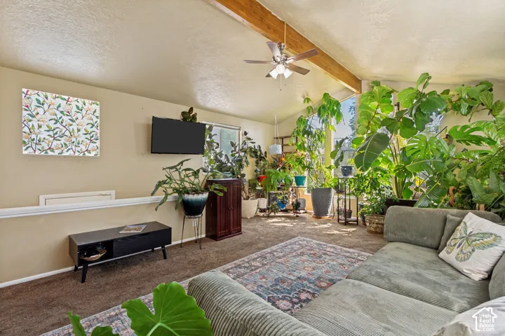 Vaulted ceiling with exposed wood beams, ceiling fan, and carpeted flooring