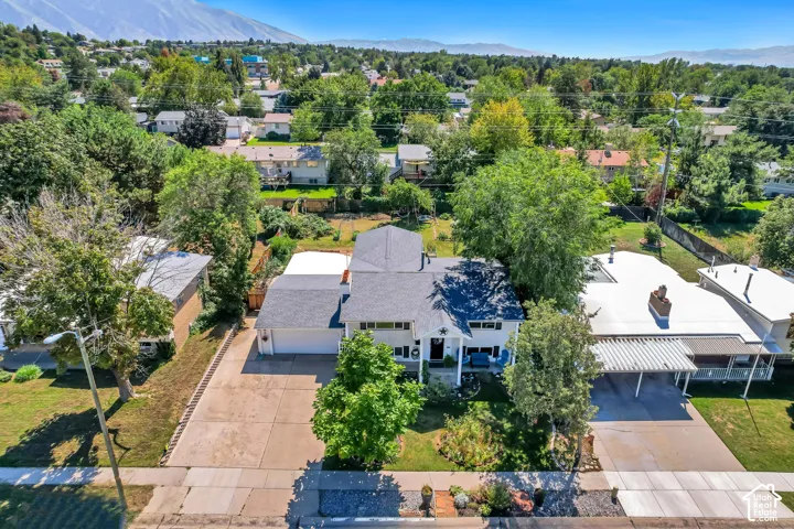 Expansive driveway, mature trees, and a well-maintained roof