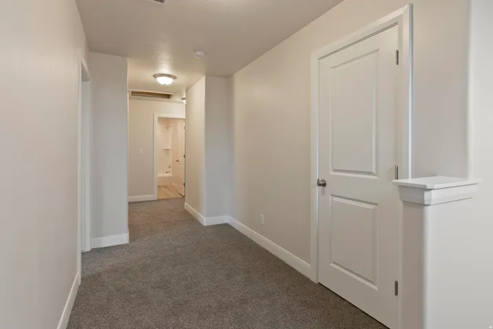 Gray carpet flooring and light-toned walls