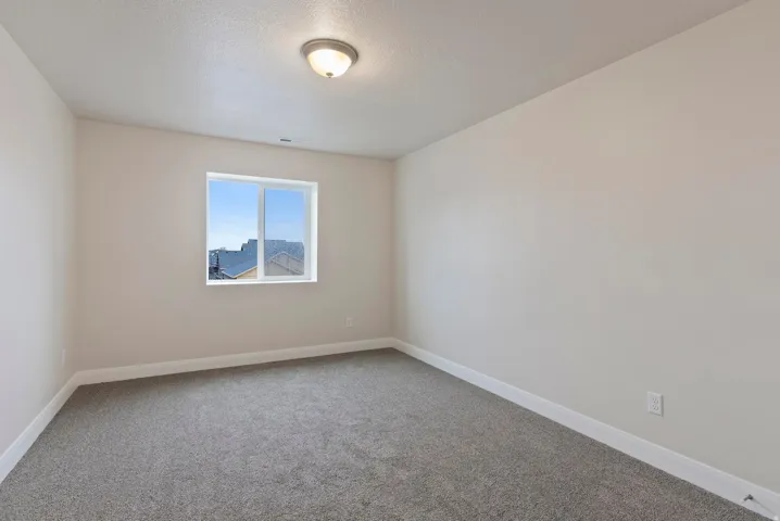 Neutral wall paint, gray carpeting, white trim, and a flush-mount ceiling light