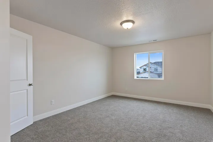 Plush gray carpeting, white trim, single window, flush-mount ceiling light