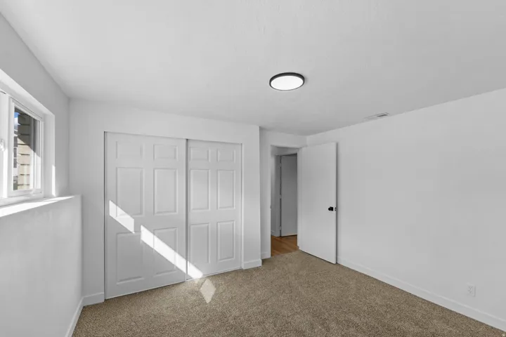 White paneled bifold closet doors, light-colored carpeting, and a flush-mount ceiling light fixture