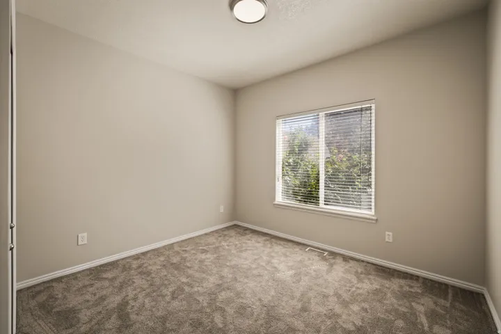 Neutral paint finishes, plush carpet flooring, a window with blinds, and an attached ceiling light fixture
