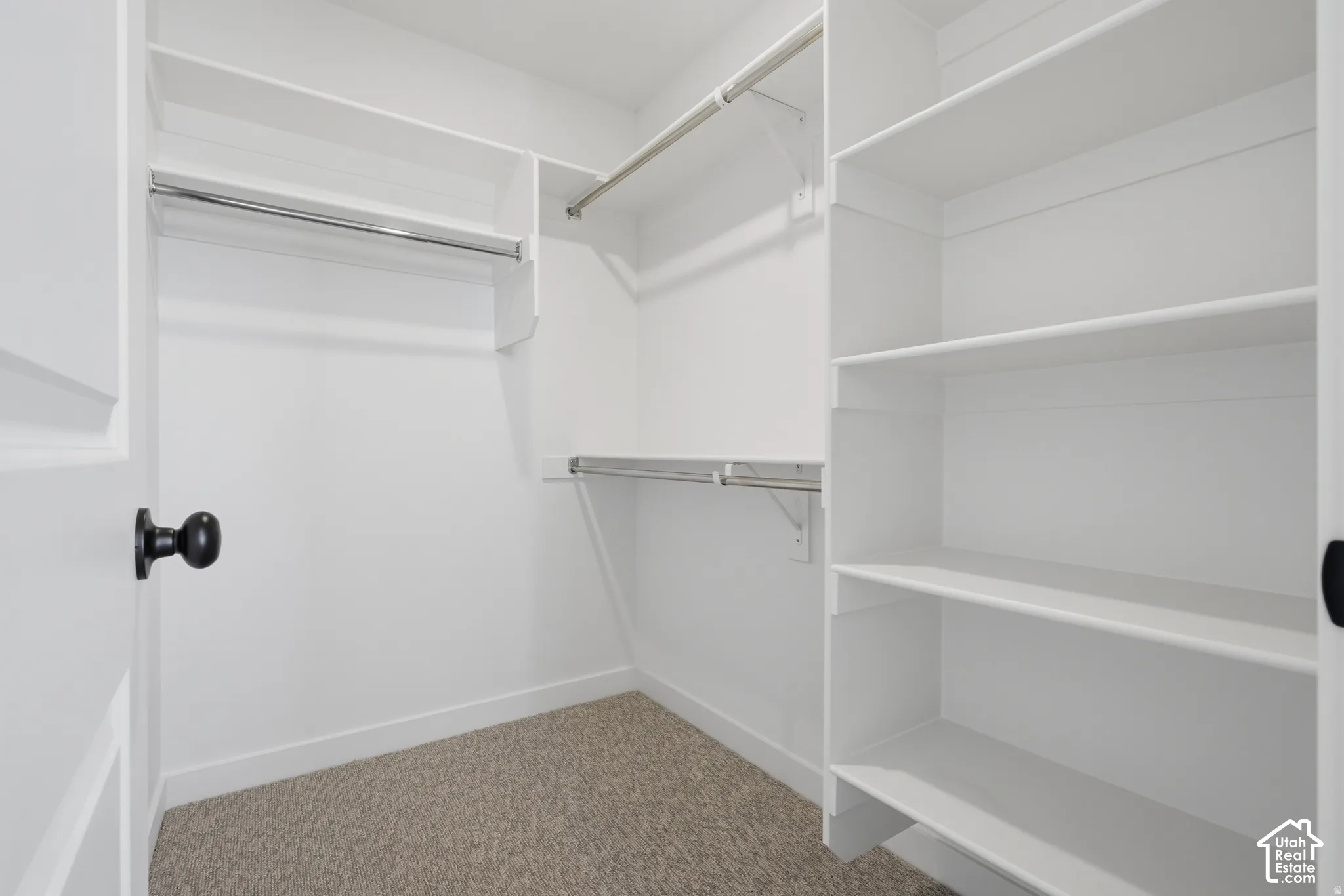 Built-in shelving, chrome hanging rods, and carpeted flooring