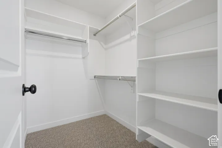 Built-in shelving, chrome hanging rods, and carpeted flooring