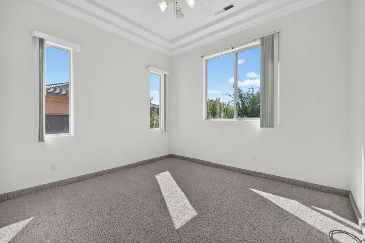 Tray ceiling detail, neutral carpet flooring, and multiple windows