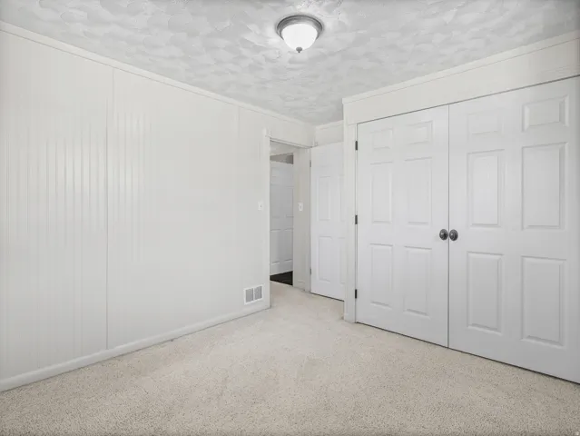 Wall paneling, white trim, neutral carpet, ceiling-mounted light fixture, white interior doors