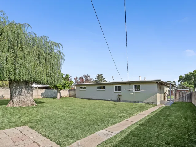 Expansive lawn with a mature deciduous tree, a concrete pathway, and a wooden fence