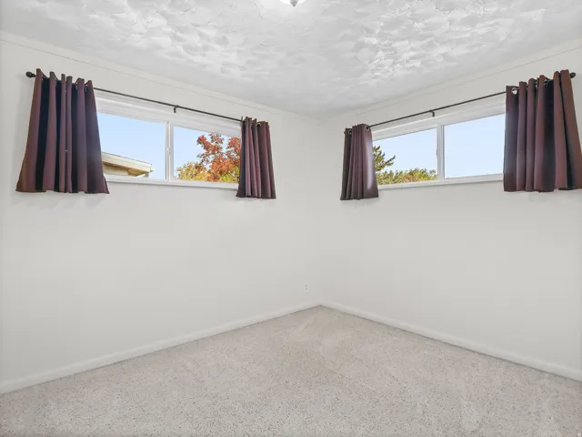 Light gray carpet, white walls, and dual pane windows