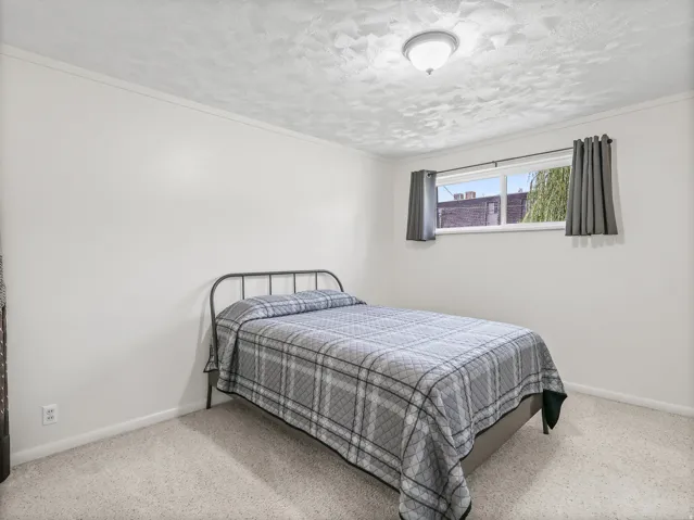 Neutral wall paint, textured ceiling, single window, ceiling-mounted light fixture, and carpet flooring